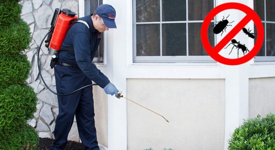 Bekilli Karınca İlaçlama böcek ilaçlama ve haşere kontrolü — ilaclama-tr.com